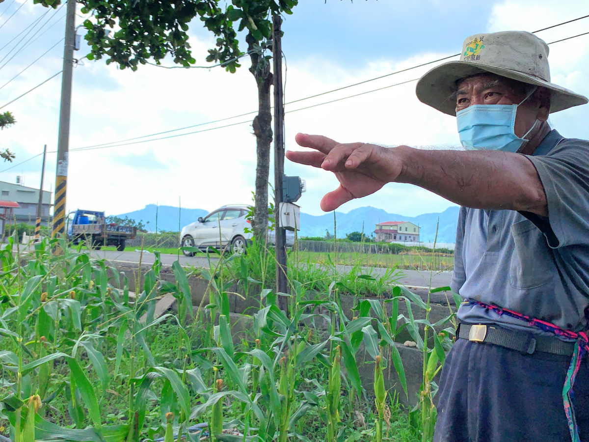 美濃南隆Q白甜極鮮玉米