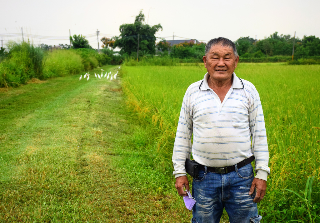 護店神山——高雄傳承四代冠軍米