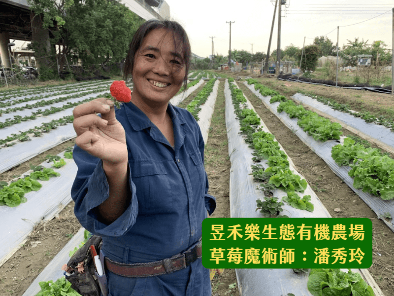 草莓里R23-1號出口──草莓宇宙