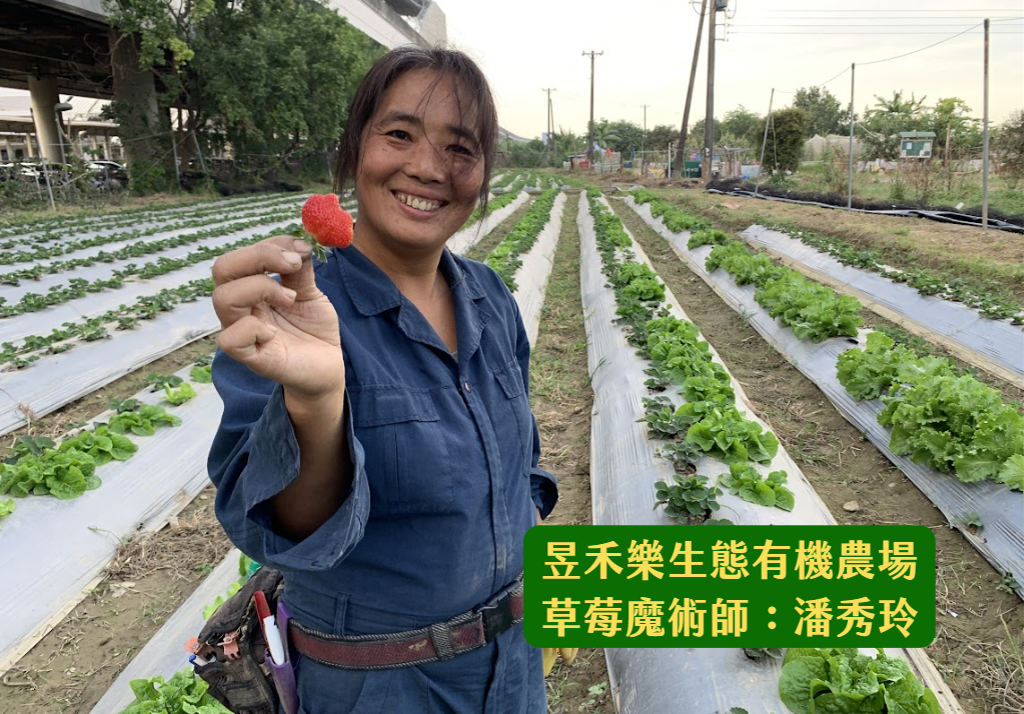 草莓里R23-1號出口──草莓宇宙