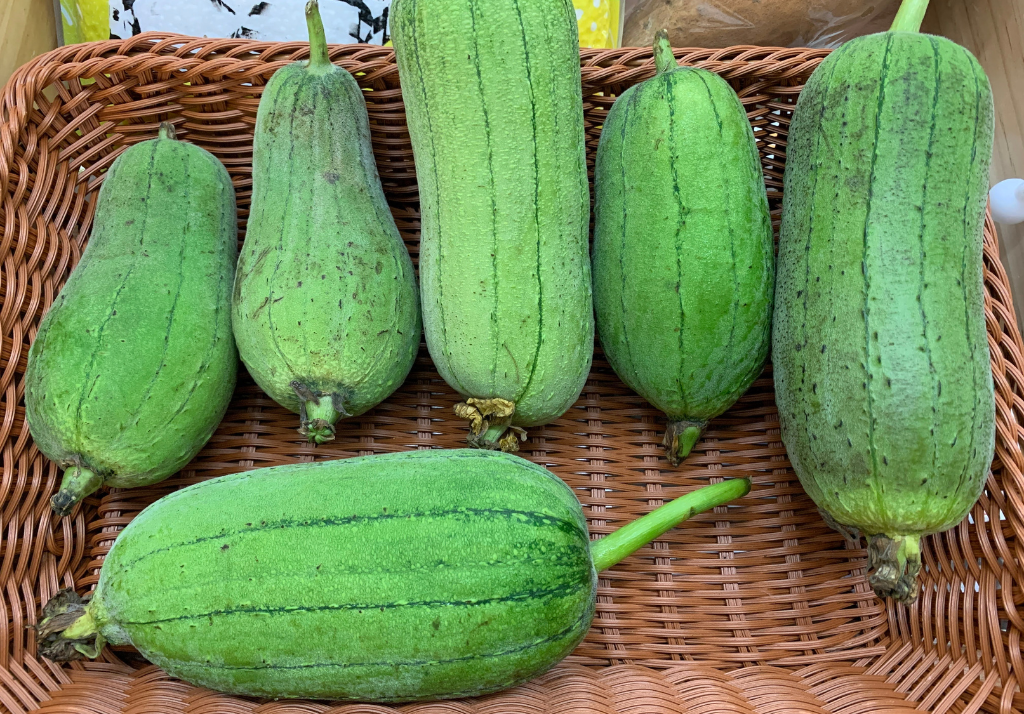 農產規格化會有什麼問題？擁抱食物多樣性，我們可以怎麼做？