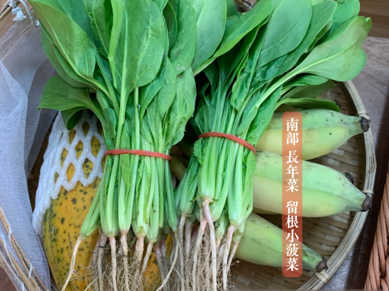 儀式感就來自南部長年菜─滿滿小飛龍的年夜飯！